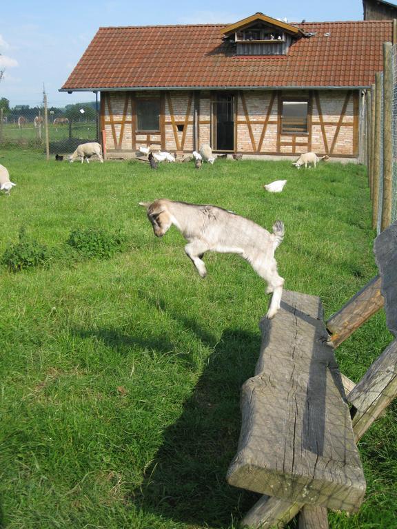 Ferienhof Roesch Bad Wurzach Exteriér fotografie